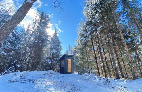 Minden Hills Cabin | Cozy Cabin in Haliburton w/Sauna