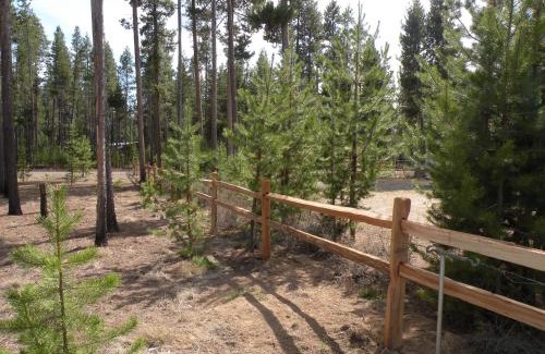 La Pine House | Cozy Cabin LaPine
