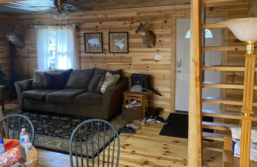 Grayling Cabin | Cozy cabin near the Au Sable