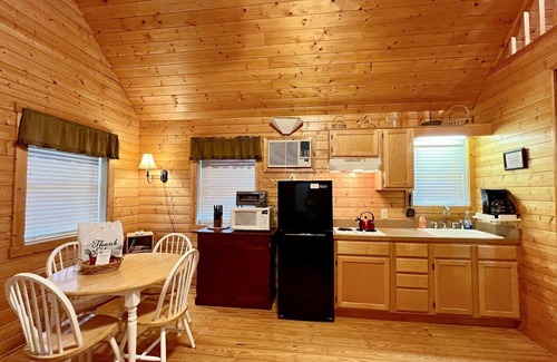 Laurel Springs Cabin | Cozy cabin Near Blue Ridge Parkway, Pet Friendly, WIFI, Pond, Gas FRPL