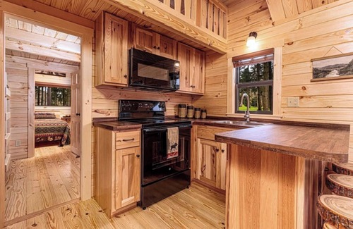 Hector Cabin | Cozy Cabin on Seneca Wine Trail Vineyard View 3