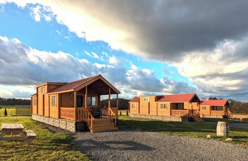 Hector Cabin | Cozy Cabin on Seneca Wine Trail Vineyard View 2
