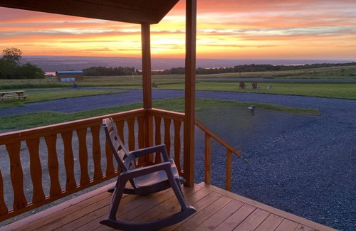 Hector Cabin | Cozy Cabin on Seneca Wine Trail Vineyard View 2