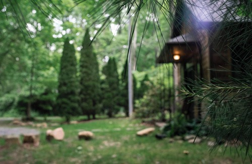 Rawley Springs Cabin | Cozy Cabin on the River: Swim, Hike & Relax on the Banks of the Dry River