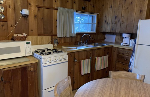 Mayfield Cabin | Cozy cabin on the river! Steps from the water, amazing views of river & wildlife
