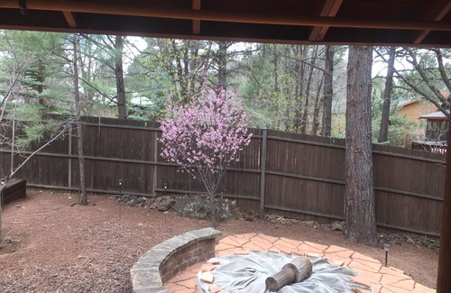 Pinetop Cabin | COZY CABIN PLCC TALL PINES PRIVACY GOLF HIKE BIKE ENJOY FRESH COOL MOUNTAIN AIR!