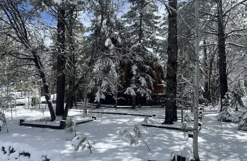 Pinetop Cabin | COZY CABIN PLCC TALL PINES PRIVACY GOLF HIKE BIKE ENJOY FRESH COOL MOUNTAIN AIR!