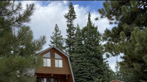 Meadow View Heights House | Cozy Cabin