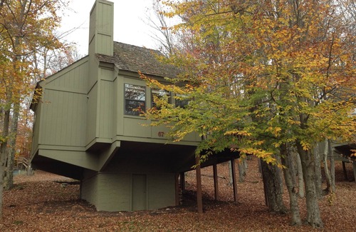 Davis Cabin | Cozy Cabin with Swimming, Hiking, Skiing and Biking