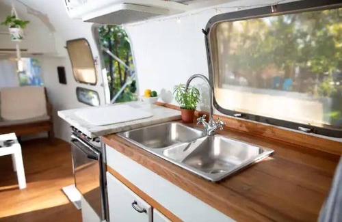 Govalle House | Cozy Cactus Airstream Central East Austin