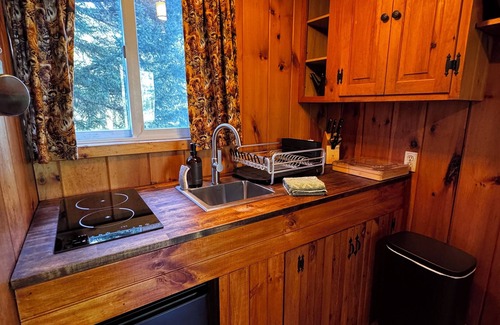 Lake Placid House | Cozy Cascade Adirondack Cabin