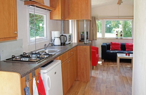 Appelscha House | Cozy Chalet in Appelscha near the woods