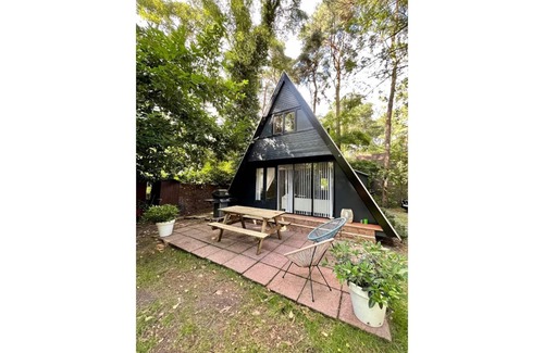 Rekem Ski Chalet | Cozy chalet in the woods near Maastricht