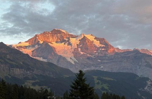 Wengen Apartment | Cozy Chalet in Wengen with best views