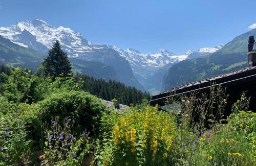 Wengen Apartment | Cozy Chalet in Wengen with best views