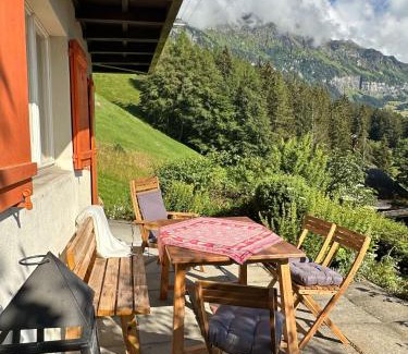 Wengen Apartment | Cozy Chalet in Wengen with best views