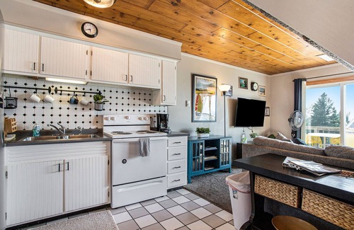 Stevensville Ski Chalet | Cozy Chalet with Lake Michigan view, beach, pool and rec activities