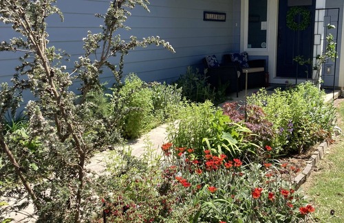 Port Orford House | Cozy coastal home near ocean beaches, hiking, and more!