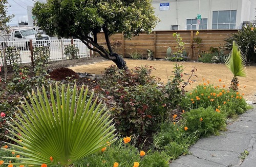 Santa Clara House | Cozy & Comfy Minutes to Levi’s, SCU, Tech Co. & SJC
