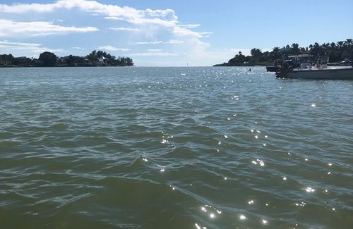 Ridge Wood Heights Cottage | Cozy Cottage centrally located in beautiful Sarasota Florida.