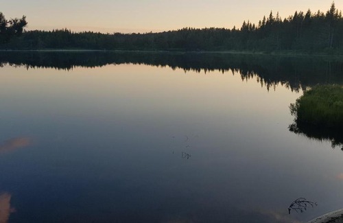 Vennesla House | Cozy Cottage in the Woods, near Dyreparken in Kristiansand, Lake Lolandsvannet