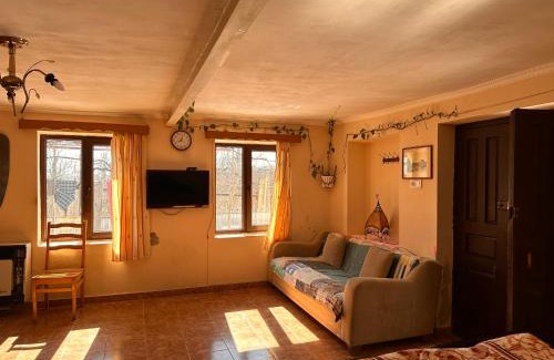 Kutaisi Apartment | Cozy Cove