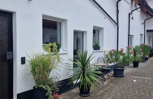 Altdorf Apartment | Cozy, newly renovated vacation apartment in the middle of the wine village