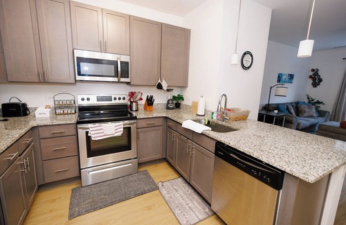 Shockoe Bottom Apartment | Cozy Downtown 1BR, Free Parking!