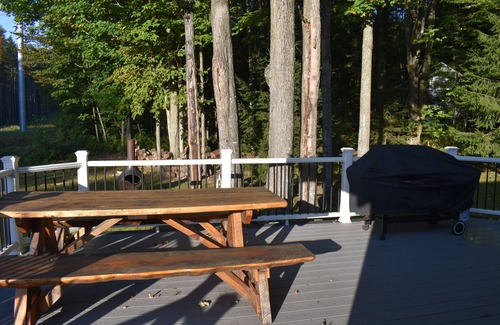 Bellaire Ski Chalet | Cozy Family Cabin in Schuss Village-Book now for Summer Fun!
