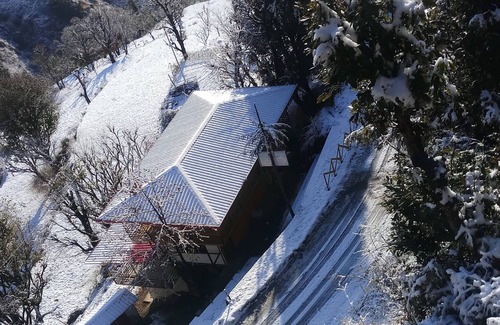 Chakrata House | cozy forest and mountain retreat in chakrata green