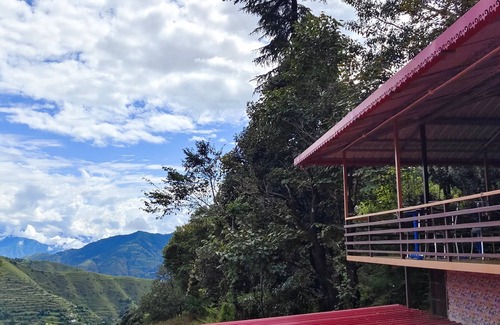 Chakrata House | cozy forest and mountain retreat in chakrata green
