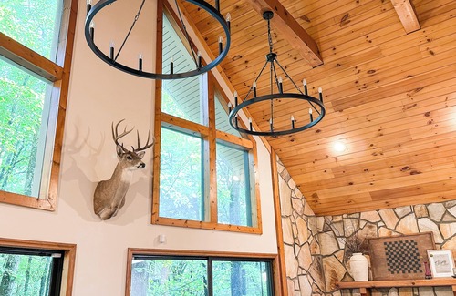 Ellijay Cabin | Cozy Forest Cabin with HOT TUB!