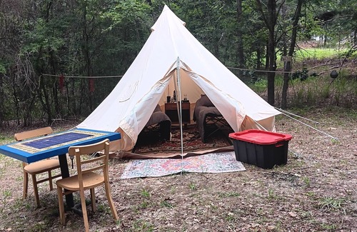 Palestine RV Rental | Cozy Glampsite at The Fabulouse Bok Vegas Interactive Petting Zoo and Farm