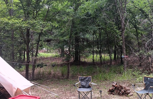 Palestine RV Rental | Cozy Glampsite at The Fabulouse Bok Vegas Interactive Petting Zoo and Farm