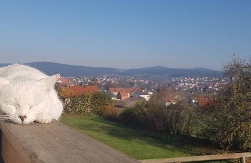 Neunburg vorm Wald Apartment | Cozy, ground-floor vacation apartment (60 sqm) with two bedrooms