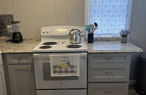 Tampa Heights Apartment | Cozy Guest House Apartment Located Walking Distance from Downtown & Riverwalk