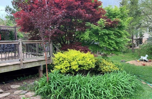 Manassas Apartment | Cozy guest suite in Manassas near historic town and park