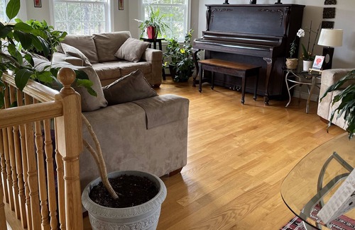 Halifax County House | Cozy Home in quiet subdivision, 20 min from city and beaches