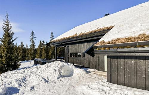 Sjusjoen House | Cozy Home In Sjusjøen With Kitchen