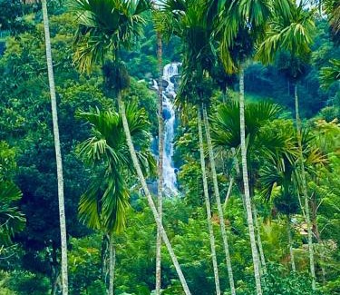 Ella Hotel | Cozy Homestay Waterfall Road Ella