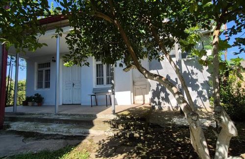 Zugdidi Apartment | Cozy house