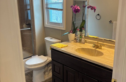 Fairfax House | Cozy house in charming Fairfax with AC, WiFi