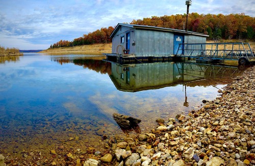 Bull Shoals Cottage | Cozy lake cottage close to everything Bull Shoals has to offer!