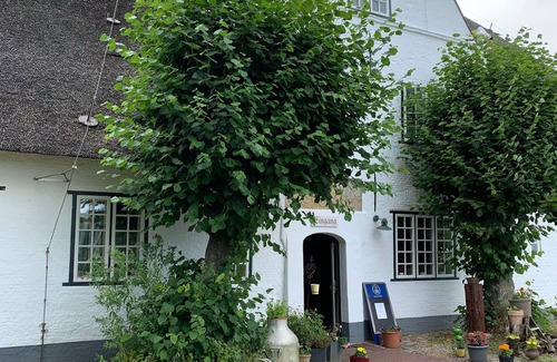 Katingsiel Apartment | Cozy little vacation apartment right on the dike