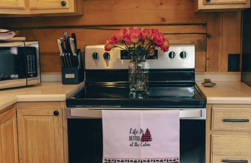 Saint Mary's Cabin | Cozy Log Cabin: hot tub under the stars, private deck, king bed, dog friendly!