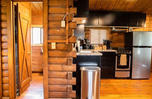 Pagosa Springs Hotel | Cozy Log Cabin w/Hot Tubs & Mountain Views: Enjoy Hot Springs w/Easy Reach