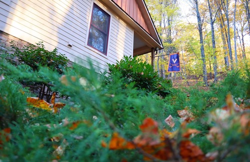 Nellysford Cabin | Cozy Modern Cabin near Wintergreen and Bold Rock