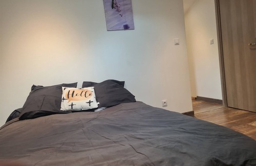 Bastelica Apartment | Cozy mountain apartment, 15 minutes from the Val d'Eze ski slopes