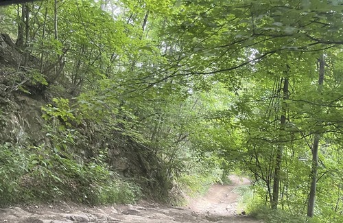 Northfork Cabin | Cozy Mountain Cabin within minutes to Hatfield McCoy and Outlaw Trails
