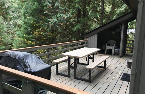 Glacier House | Cozy Mt Baker SnowLine Cabin